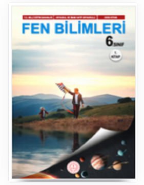 FEN 6 -2026